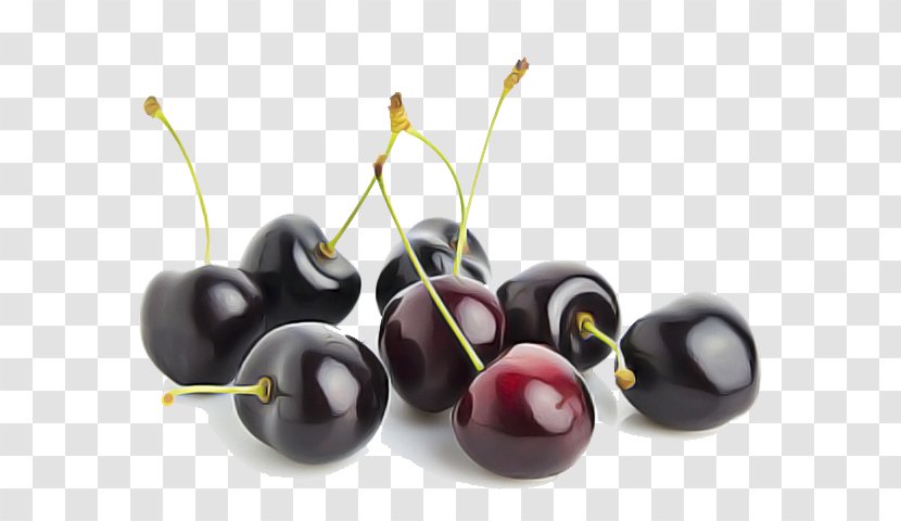 Fruit Plant Cherry Olive Superfood - Black Tree Transparent PNG