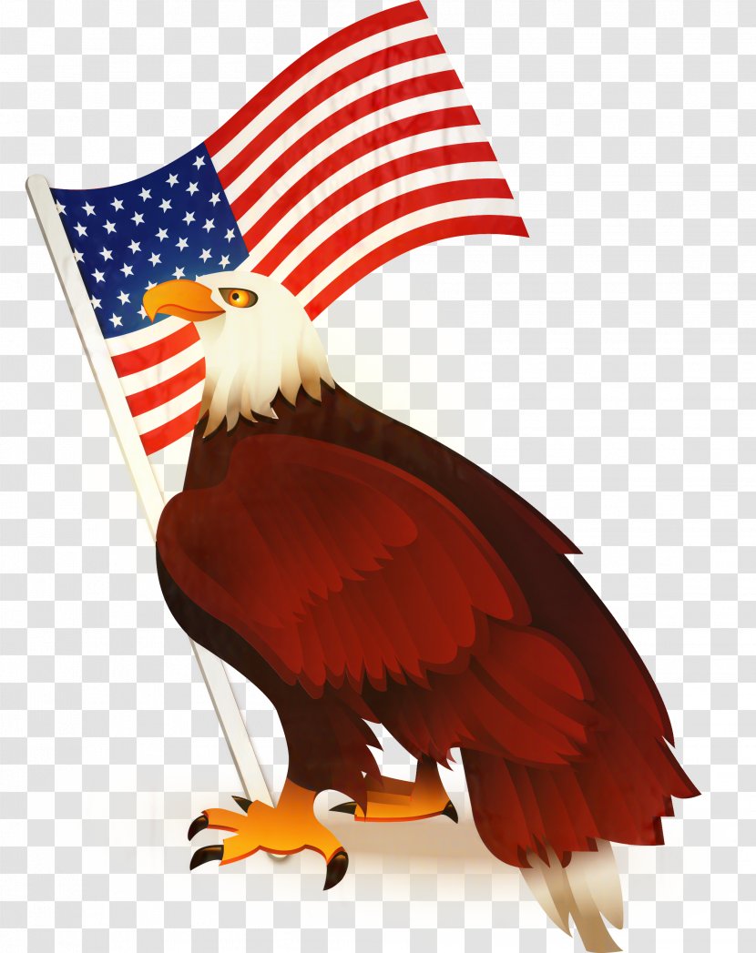 Bald Eagle United States Vector Graphics - Veterans Day Transparent PNG