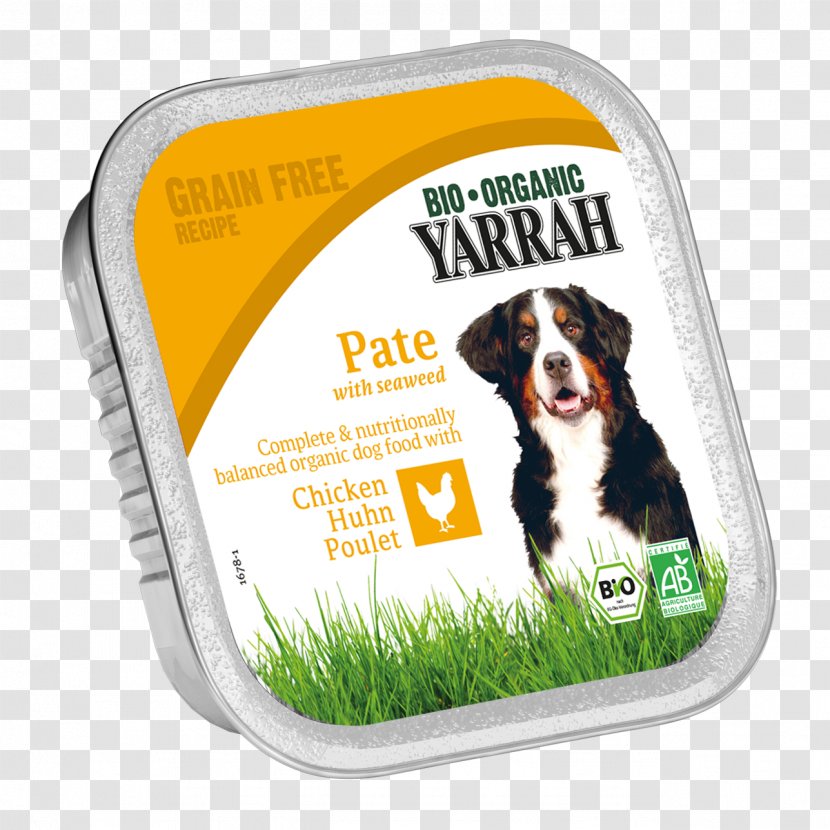 Dog Food Organic Veganism - Snout Transparent PNG