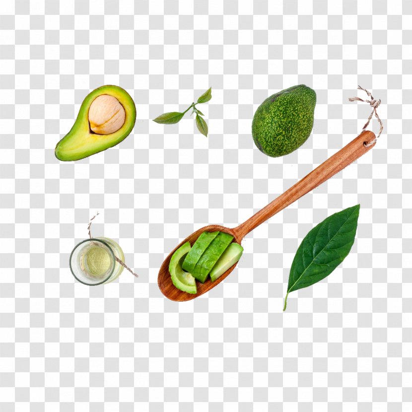 Smoothie Avocado Oil Food Nutrition - Vitamin - Decoration Transparent PNG
