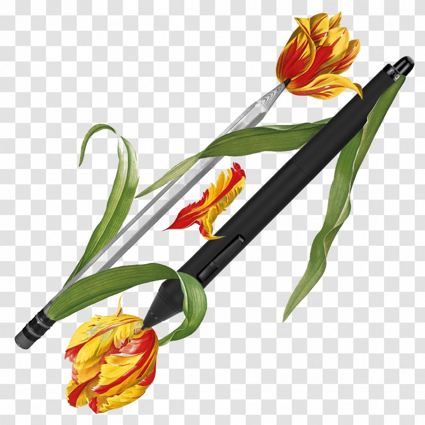 Flora Flower Collage Art Pencil - Plant - Hand-painted Pen Transparent PNG