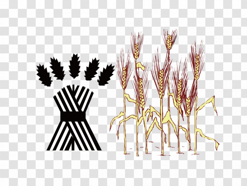 Graphic Design - Kompakt - Vector Wheat Field Transparent PNG