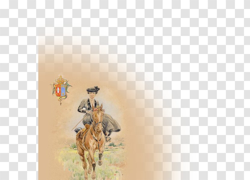 Horse Cowboy Transparent PNG