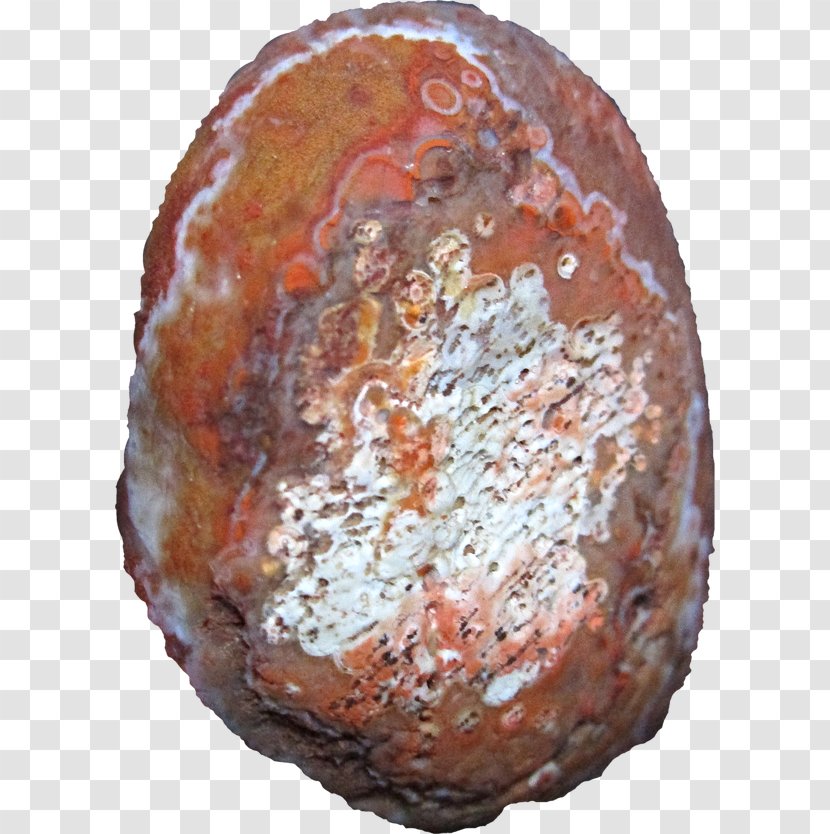 Mineral Abalone - Agate Transparent PNG