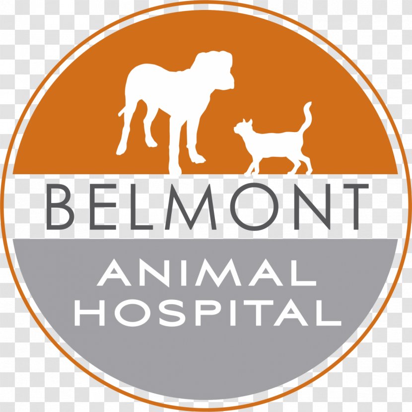 Belmont Animal Hospital Dog LBMC Blood Clinique Vétérinaire - Area - Like Mammal Transparent PNG