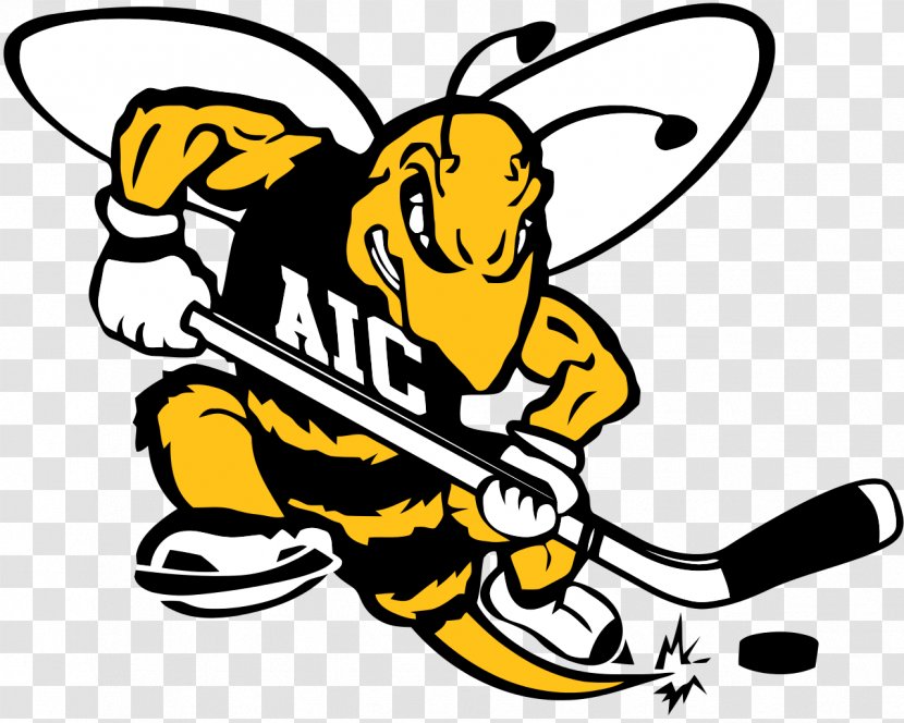 American International College Yellow Jackets Football NCAA Division I Men's Ice Hockey Tournament - Male - Austin Flyer Transparent PNG