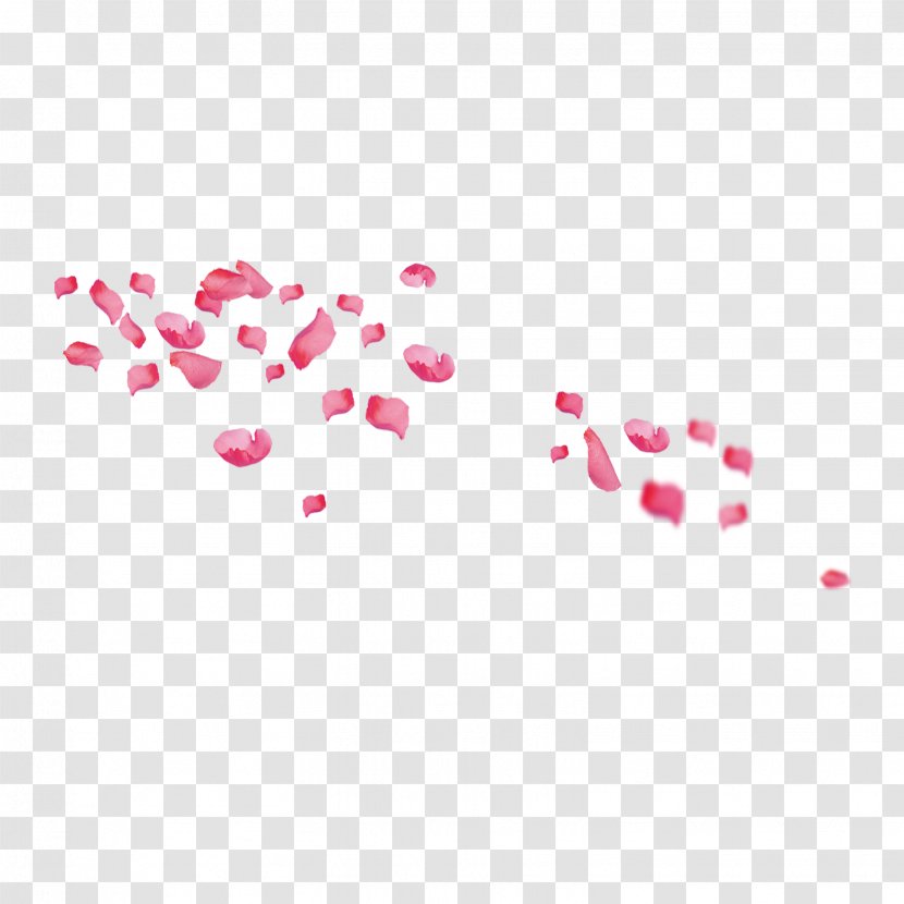 Petal Flower - Resource - Floating Transparent PNG