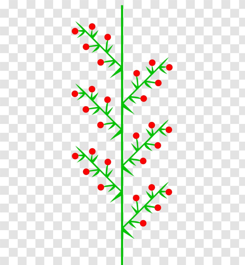 Red Flower - Inflorescence - Pedicel Transparent PNG