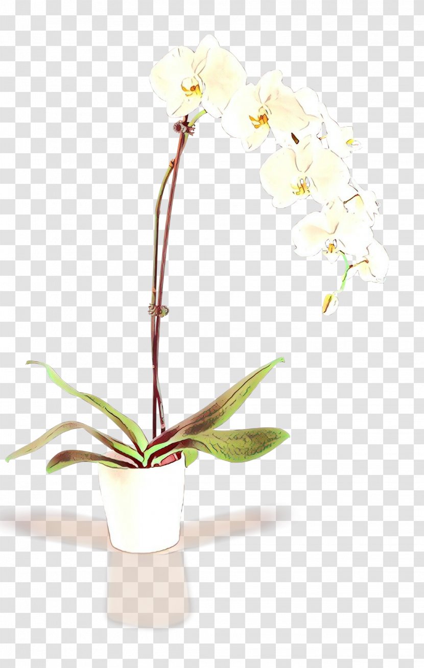 Moth Orchids Artificial Flower Floral Design Cut Flowers - Flowerpot Transparent PNG