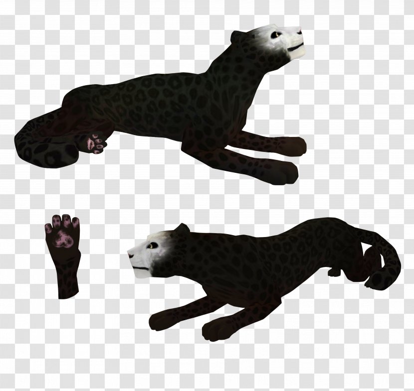 Canidae Cat Dog Mustelids Mammal Transparent PNG