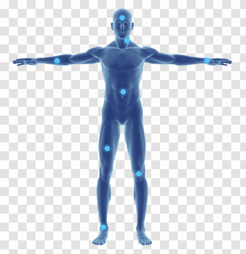 Perspiration Eccrine Sweat Gland Human Body Groin - Silhouette Transparent PNG