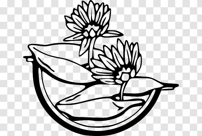 Water Lilies Egyptian Lotus Download Clip Art - Line Transparent PNG