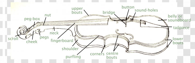 Diagram Violin Bow Viola Ukulele - Flower - Creative Transparent PNG