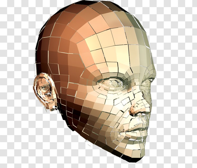 Technology Science Homo Sapiens Face - Skull - Human Transparent PNG