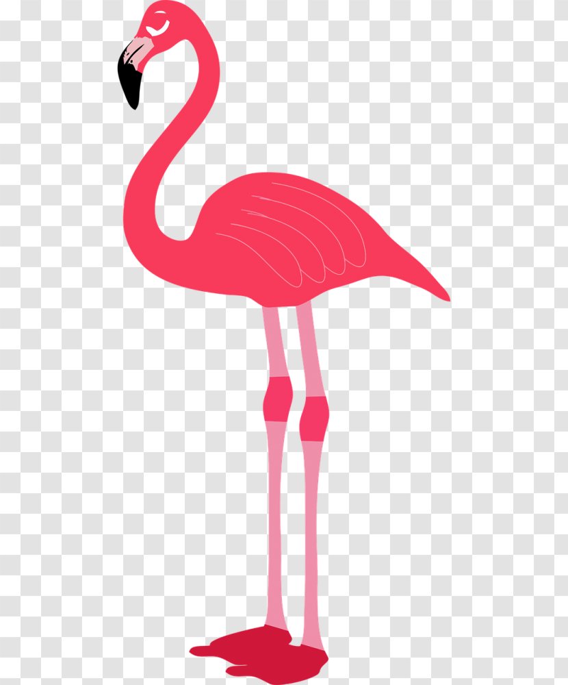 Clip Art Flamingo Image - Digital Transparent PNG