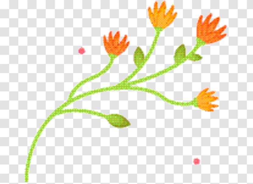 Flower Stem - Plant - Pedicel Transparent PNG