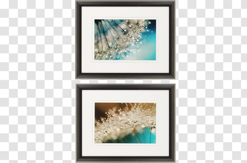 Picture Frames Work Of Art Floral Design Abstract - Modern - Painting Transparent PNG