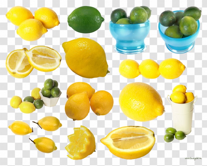 Lemon-lime Drink Food Key Lime Citric Acid - Superfood - Lemon Transparent PNG