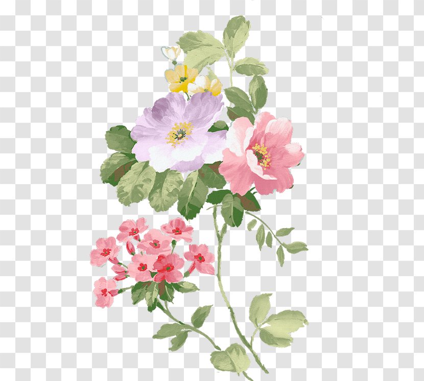 Tuolumne Design Drawing GIF BLACKPINK - Rosa Gallica - Blossom Impatiens Transparent PNG