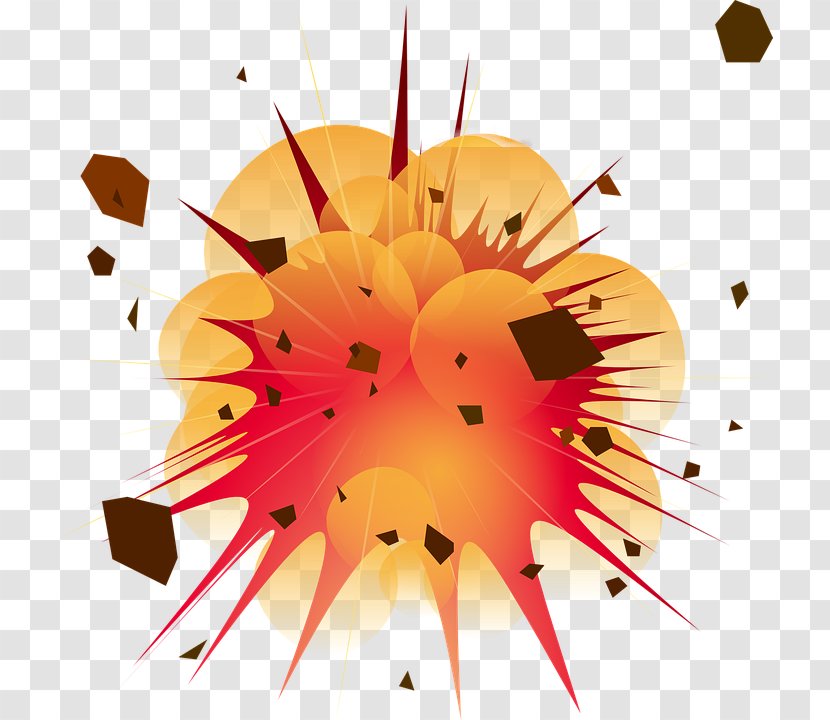 Explosion Clip Art - Flower Transparent PNG