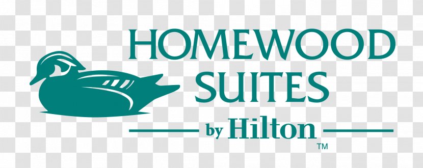 Logo Brand Product Font Clip Art - Aqua - Hilton Pattern Transparent PNG