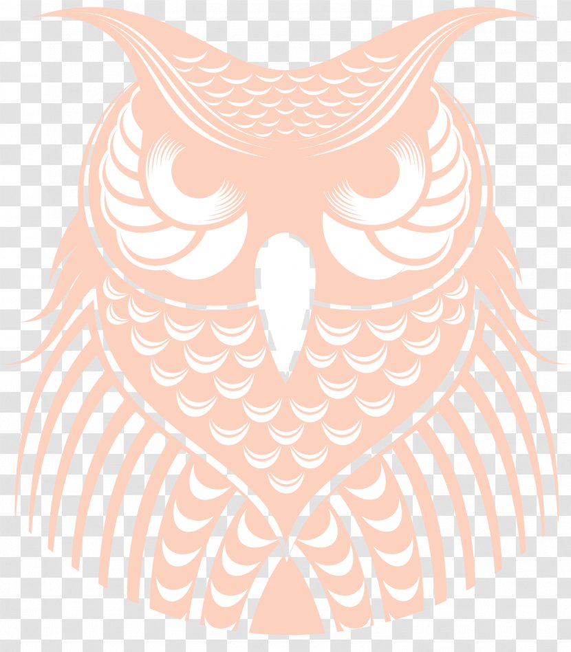 Owl Visual Arts Beak Clip Art - Neck Transparent PNG