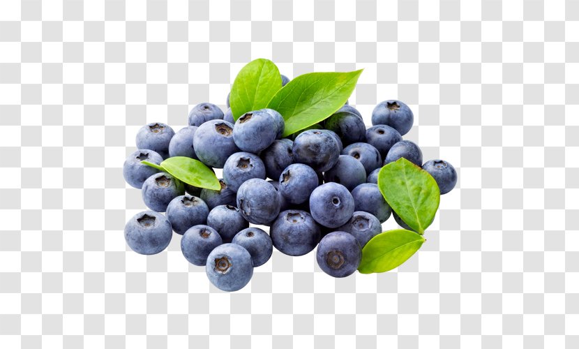 Blueberry Tea Muffin Clip Art - Food - Blueberries Transparent PNG