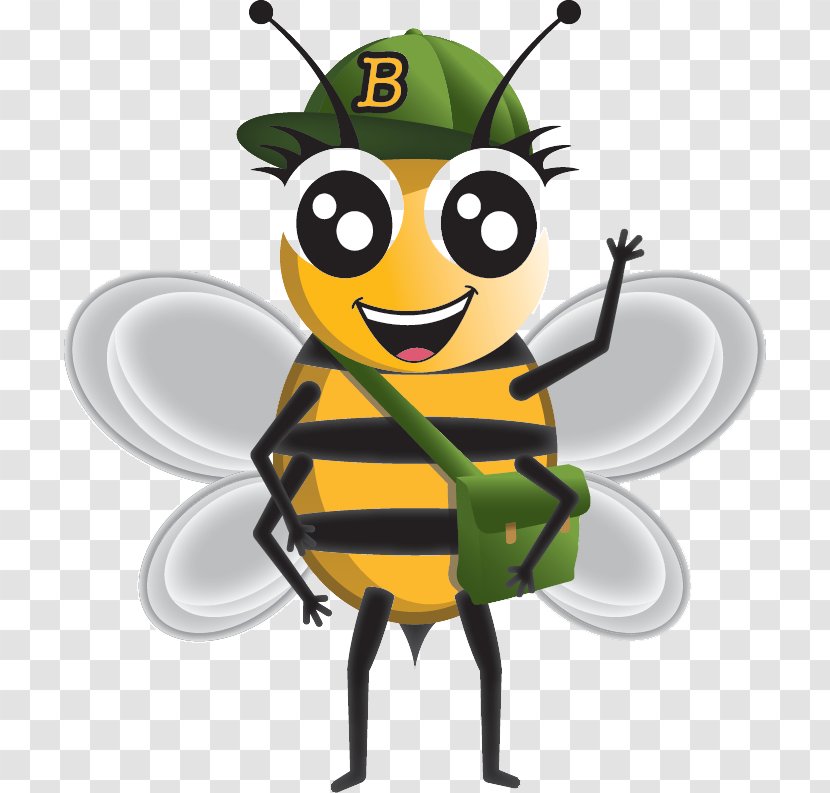 Insect Honey Bee Sting Beehive Pollinator - Sweat Bees Transparent PNG