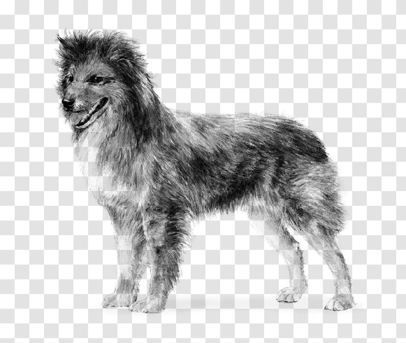 Pyrenean Shepherd Great Pyrenees German Old English Sheepdog Smooth Collie - Monochrome Photography - Dog Like Mammal Transparent PNG