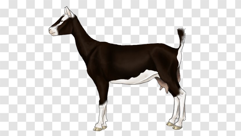 Dog Breed Horse Goat - Mammal - Alpine Transparent PNG