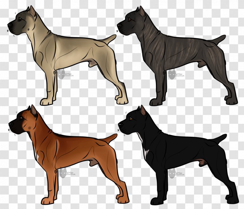 Ancient Dog Breeds - Cane Corso Transparent PNG