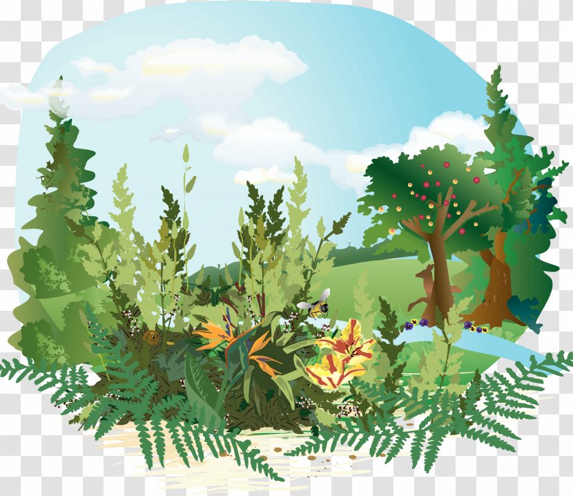 Garden Of Eden Bible Adam And Eve Genesis Clip Art - Conifer - PARADİSE Transparent PNG