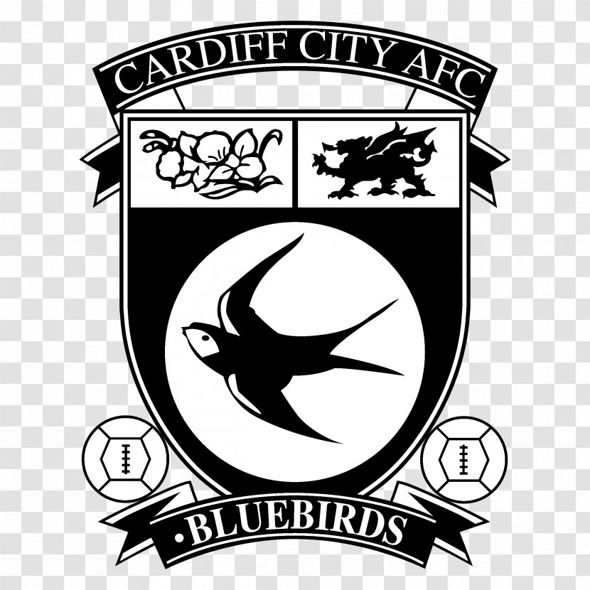 Cardiff City Stadium F.C. Academy English Football League 2018–19 Premier - Artwork Transparent PNG