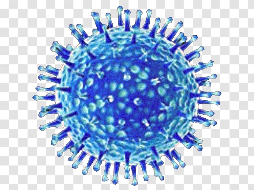 Avian Influenza Virus Common Cold Infection - Sphere - Dentate Bacterial Transparent PNG