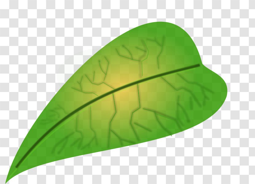Leaf Clip Art - Maple - Green Icon Transparent PNG