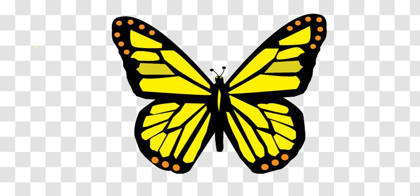 Monarch Butterfly Coloring Book Adult Child Transparent PNG