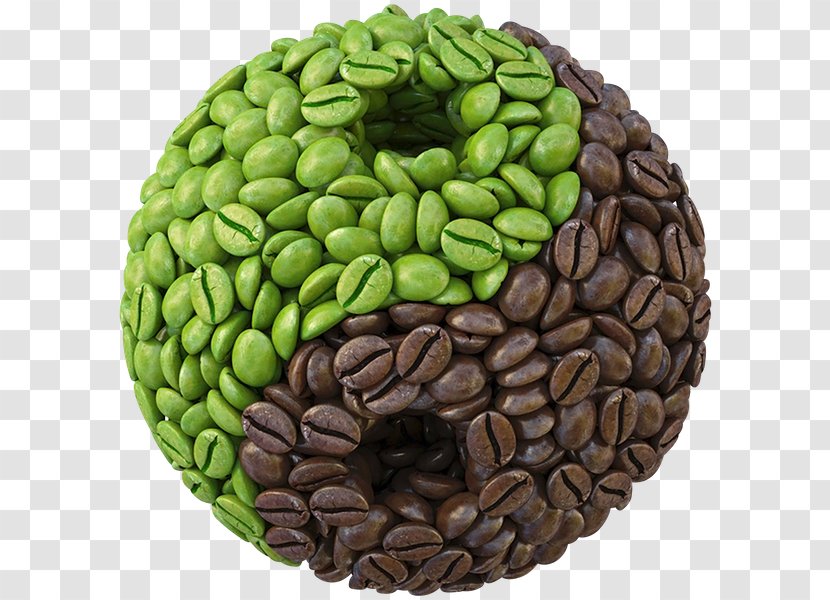 Green Coffee Extract Instant Bean Transparent PNG