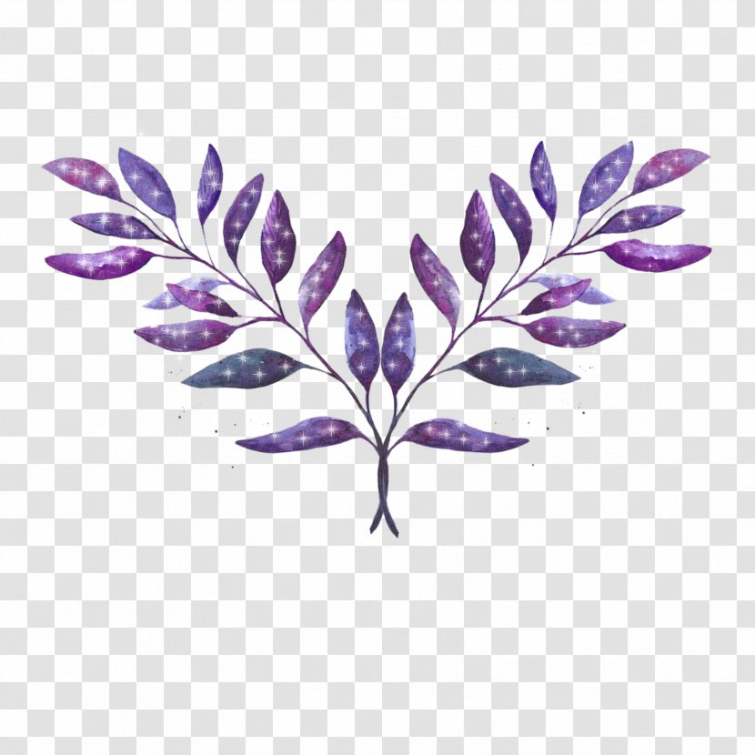Leaf Plant Purple Flower Tree - Branch - Perennial Monkshood Transparent PNG