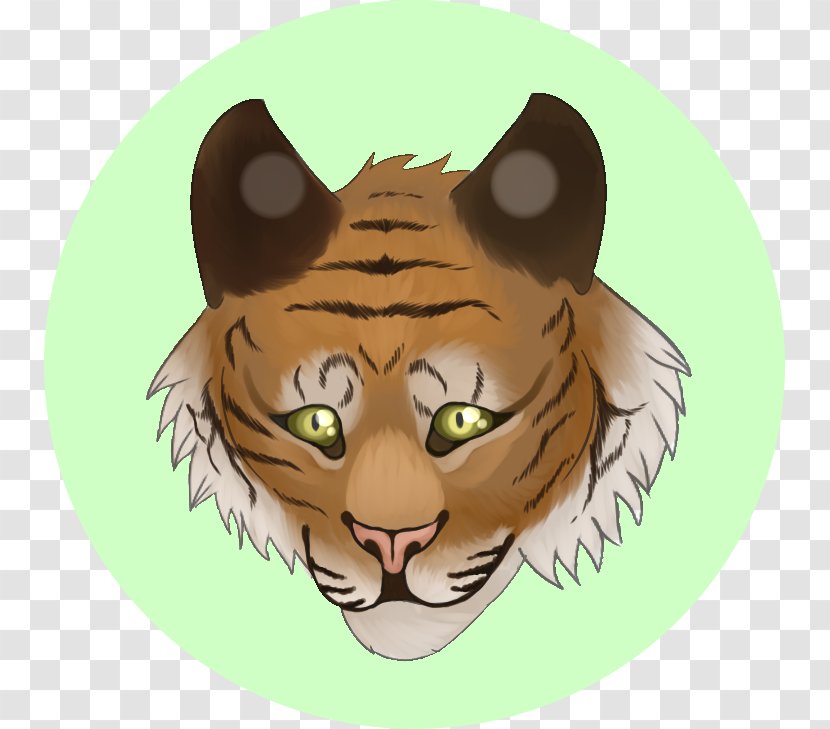 Whiskers Tiger Lion Cat Snout Transparent PNG