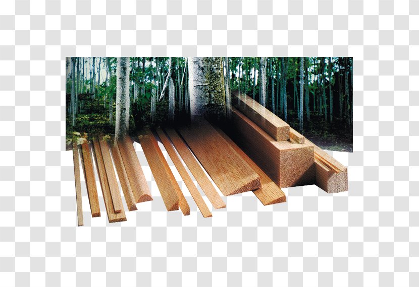 Ochroma Pyramidale Lumber Plywood Hardwood Graupner - Triangle Transparent PNG