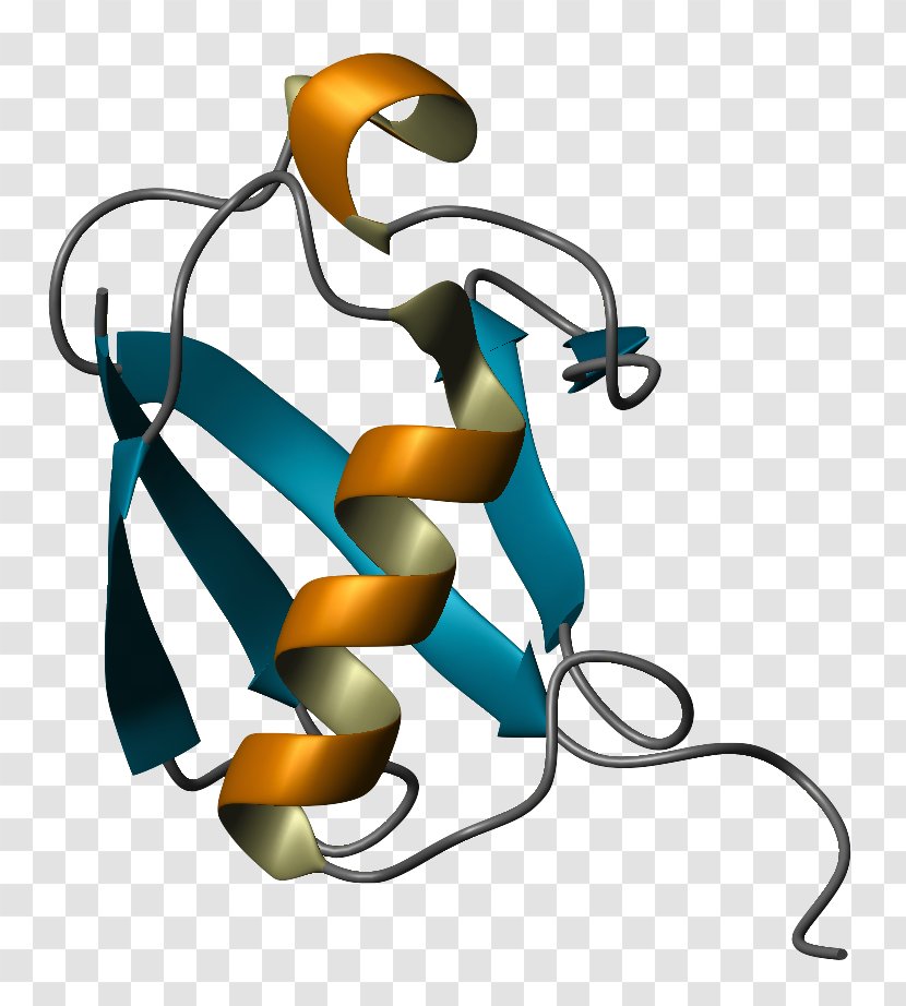 Ubiquitin Protein Folding Ribbon Diagram Molecular Biology - Tertiary Structure - Cartoon Chemistry Transparent PNG