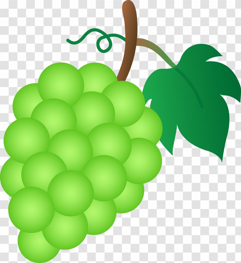 Common Grape Vine Sultana Clip Art - Grapevine Family - Cartoon Grapes Transparent PNG
