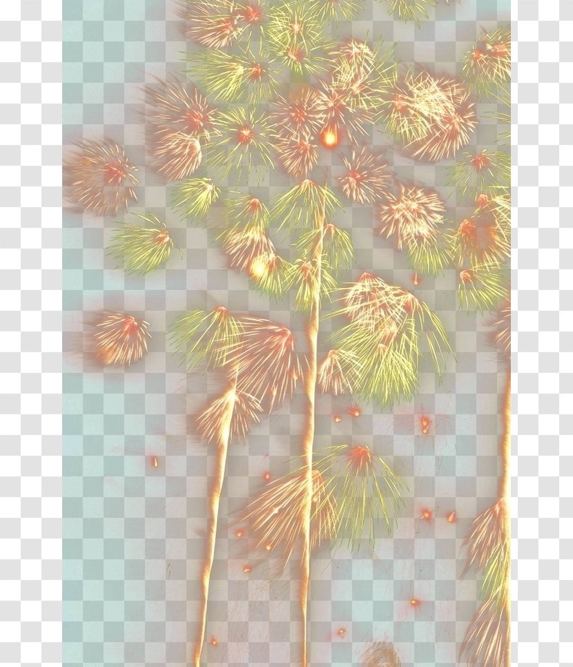 Petal Floral Design Leaf Pattern - Flower - Fireworks Transparent PNG