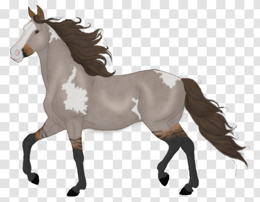 Mane Mustang Mare Stallion Rein - Watercolor - Red Splash Horse Transparent PNG