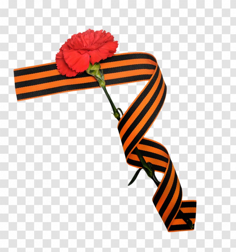 Ribbon Of Saint George Victory Day Georgiy Lentasi Aksiyasi Order St. - георгиевская лента Transparent PNG