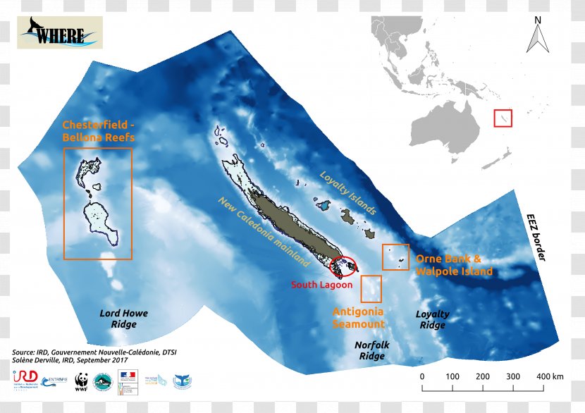 Coral Sea Geography Of New Caledonia Map Marine Mammal - Geospatial Analysis Transparent PNG