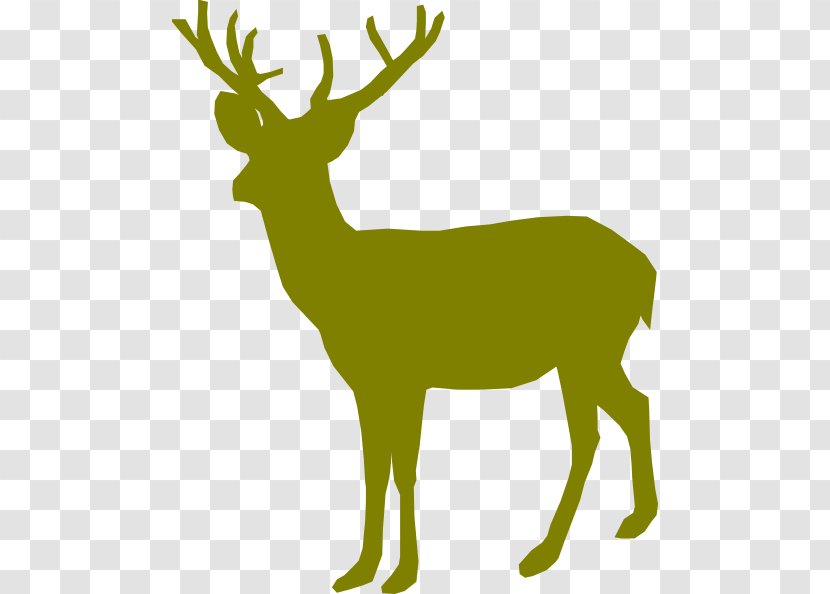 White-tailed Deer Reindeer Clip Art - Mammal - Large Head Transparent PNG