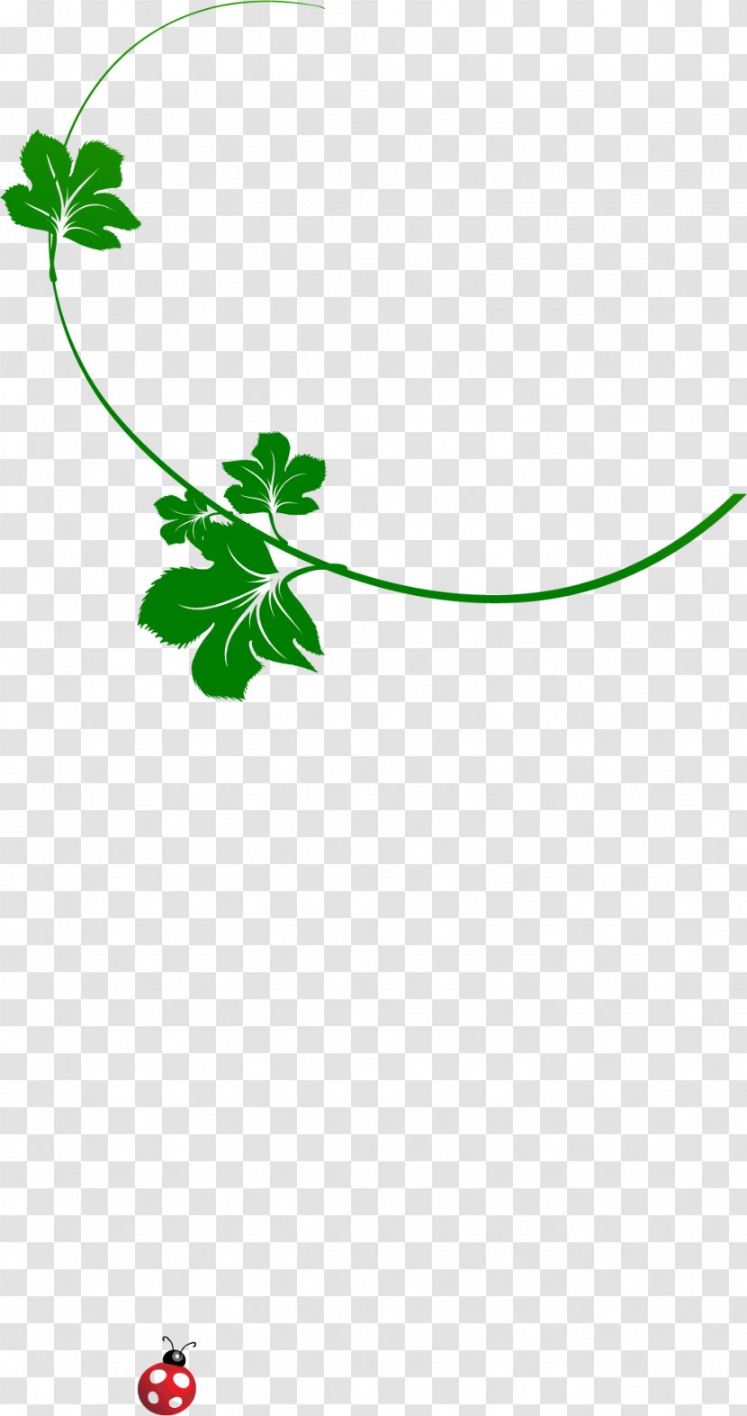 Leaf Green Download Clip Art - Branch Transparent PNG