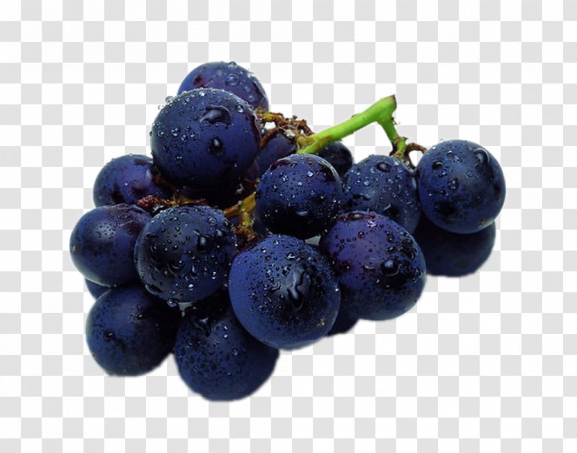 Juice Muscadine Grape Fruit Vegetable - Seedless Transparent PNG