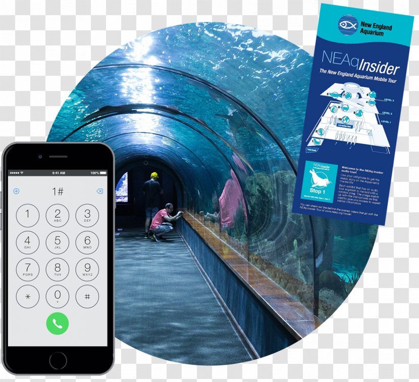 Poseidon Undersea Resorts Hotel Utter Inn Public Aquarium Blackpool - Suite - Zoo Transparent PNG